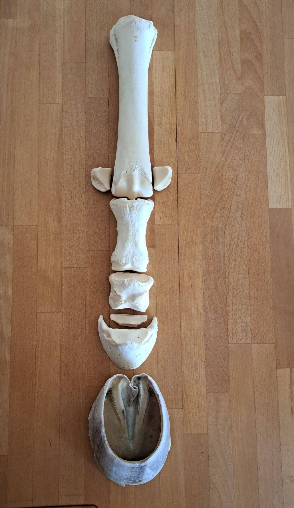 Huf Theorie Kurs Material