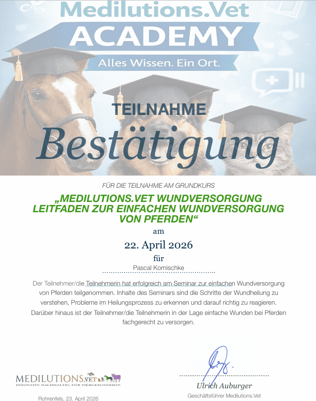 Seminar Zertifikat Komischke